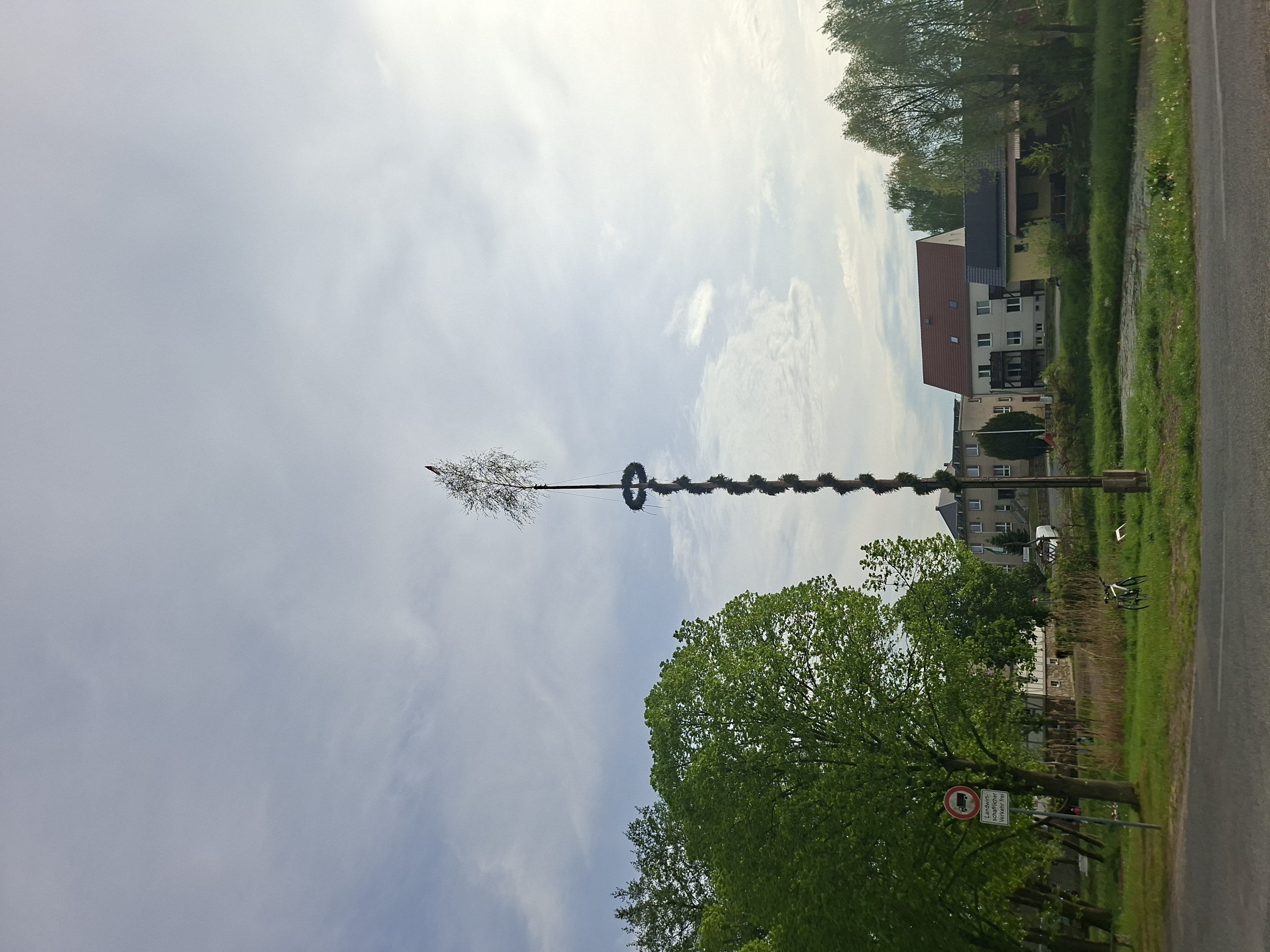 20250506_Maibaum_Miltitz