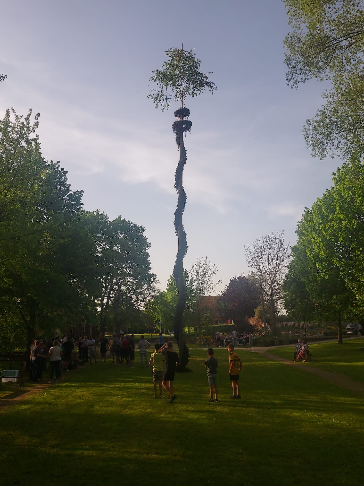 Maibaum Nebelschütz (Foto T.S.) 2024 Maibaum Nebelschütz TS 2