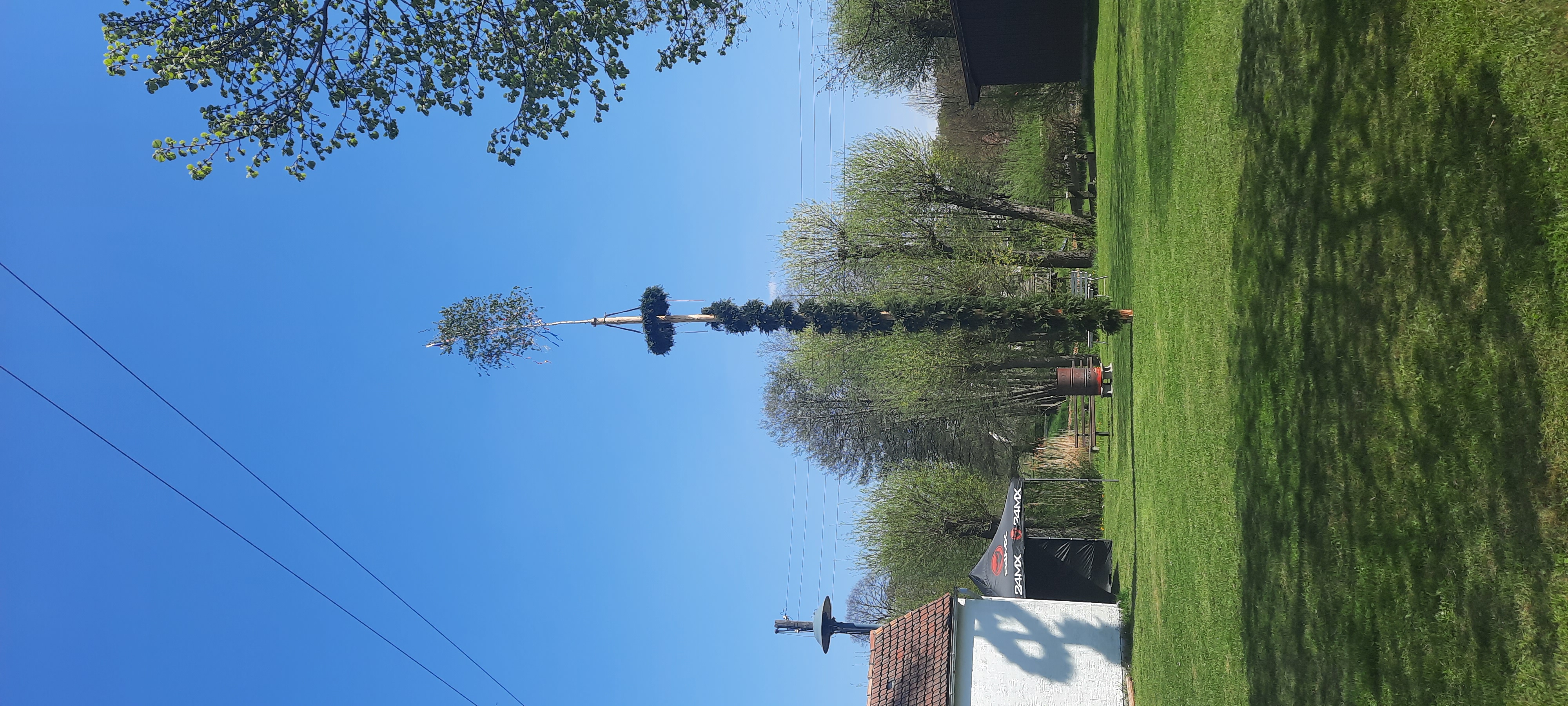 20220501 Maibaum Miltitz 