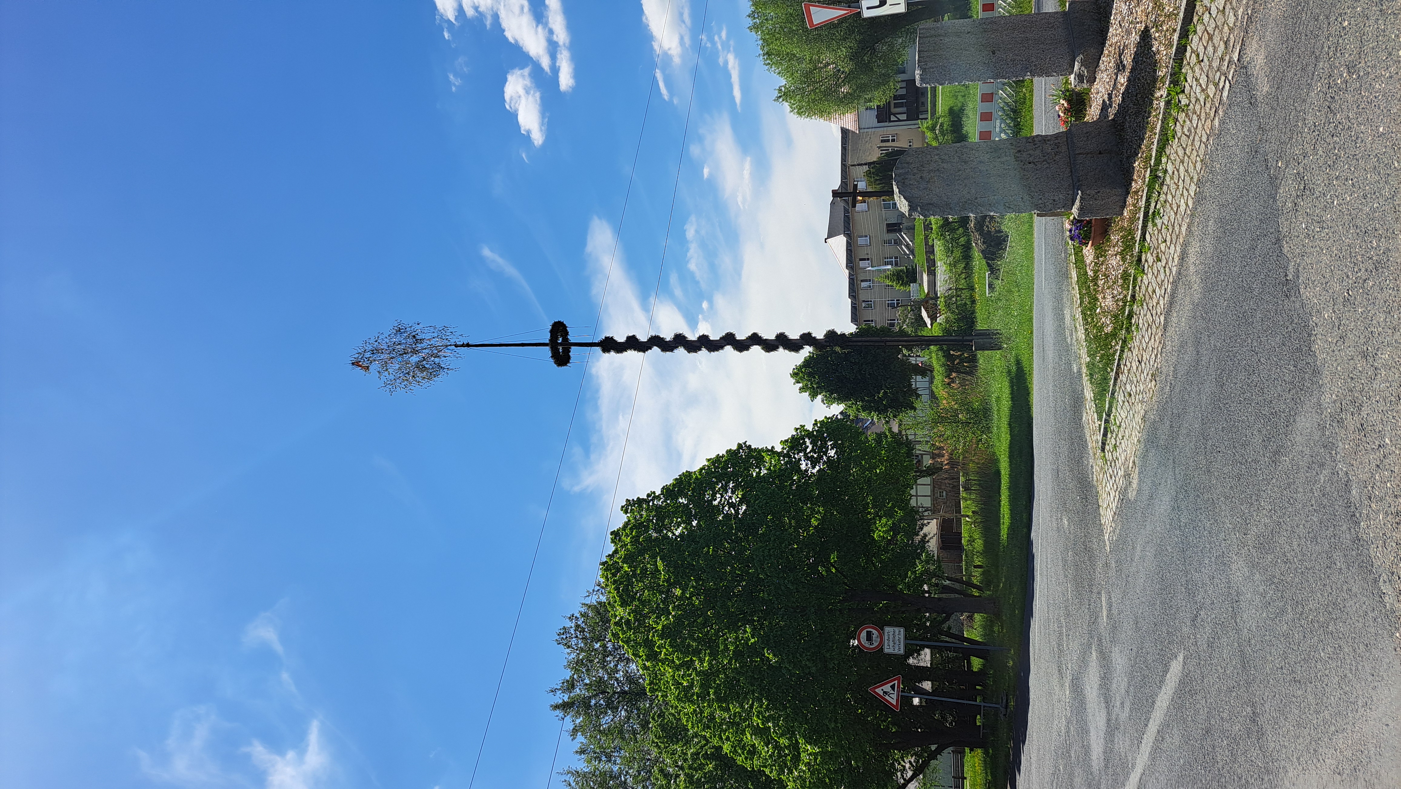 20250506_Maibaum_Miltitz
